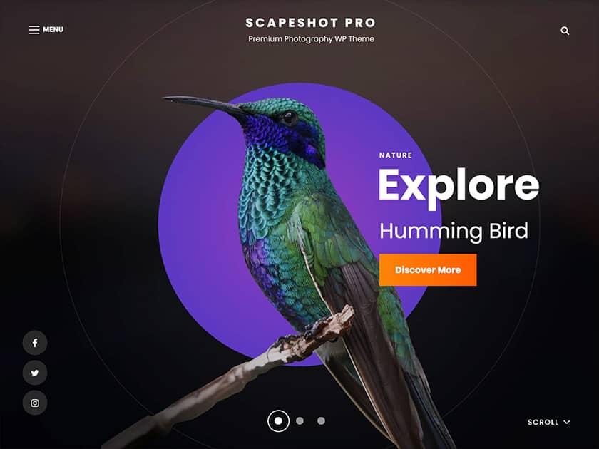 ScapeShot Pro - Our Top 10+ Free and Premium Photography WordPress Themes Collection 2024